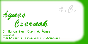 agnes csernak business card