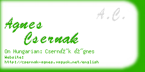 agnes csernak business card